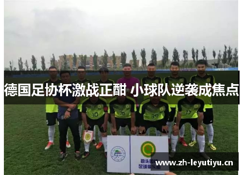 德国足协杯激战正酣 小球队逆袭成焦点 德国足协杯激战正酣 小球队逆袭成焦点