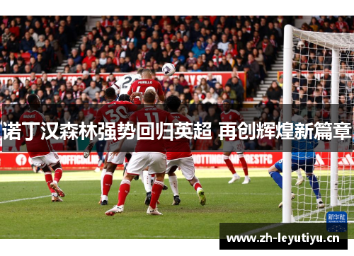 诺丁汉森林强势回归英超 再创辉煌新篇章 诺丁汉森林强势回归英超 再创辉煌新篇章